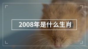 2008年是什么生肖