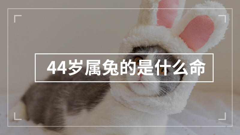 44岁属兔的是什么命