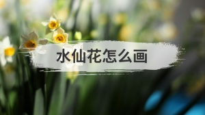 水仙花怎么画