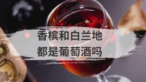 香槟和白兰地都是葡萄酒吗