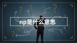 np是什么意思