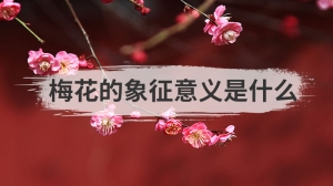 梅花的象征意义是什么