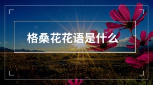 格桑花花语是什么