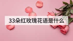 33朵红玫瑰花语是什么