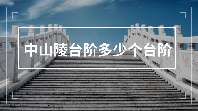 中山陵台阶多少个台阶
