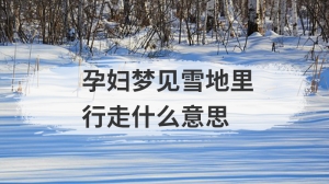 孕妇梦见雪地里行走什么意思