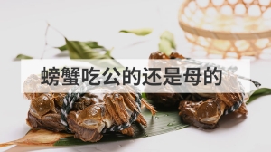 螃蟹吃公的还是母的