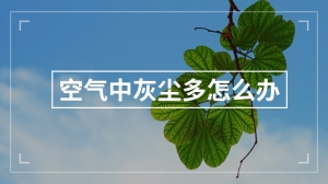 空气中灰尘多怎么办