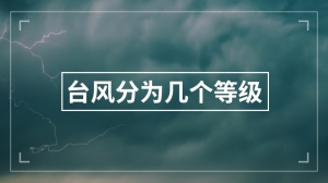 台风分为几个等级