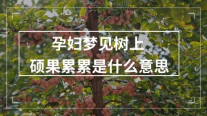 孕妇梦见树上硕果累累是什么意思