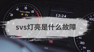 svs灯亮是什么故障