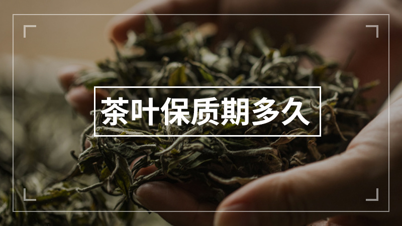 茶叶保质期多久