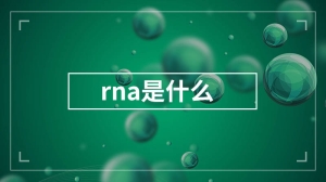 rna是什么