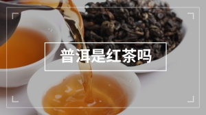 普洱是红茶吗