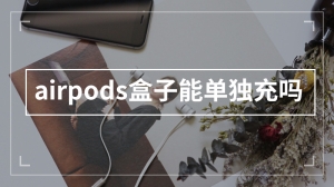 airpods盒子能单独充吗