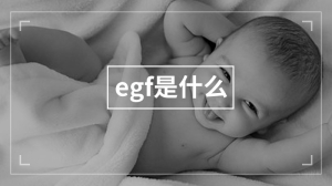 egf是什么