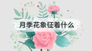 月季花象征着什么