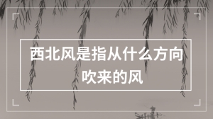 西北风是指从什么方向吹来的风