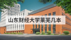 山东财经大学莱芜几本