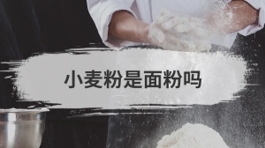 小麦粉是面粉吗