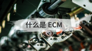 什么是 ECM