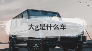 大g是什么车