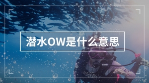 潜水OW是什么意思