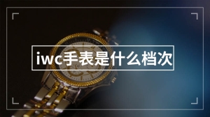 iwc手表是什么档次