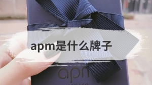 apm是什么牌子