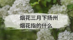 烟花三月下扬州烟花指的什么