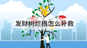 发财树烂根怎么补救