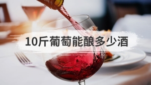 10斤葡萄能酿多少酒