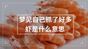 梦见自己抓了好多虾是什么意思