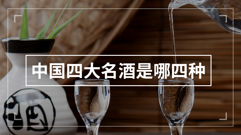 中国四大名酒是哪四种