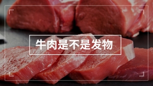 牛肉是不是发物