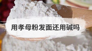 用孝母粉发面还用碱吗