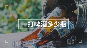 一打啤酒多少瓶