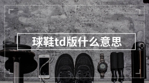 球鞋td版什么意思