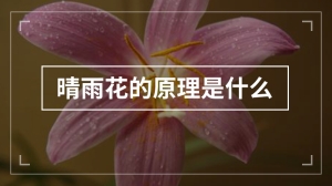 晴雨花的原理是什么