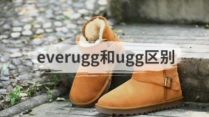 everugg和ugg区别