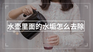 水壶里面的水垢怎么去除