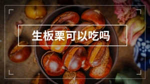 生板栗可以吃吗