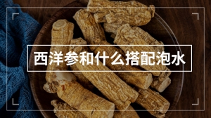 西洋参和什么搭配泡水