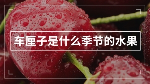 车厘子是什么季节的水果