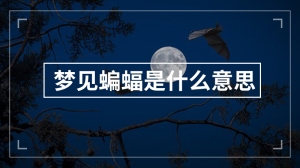 梦见蝙蝠是什么意思