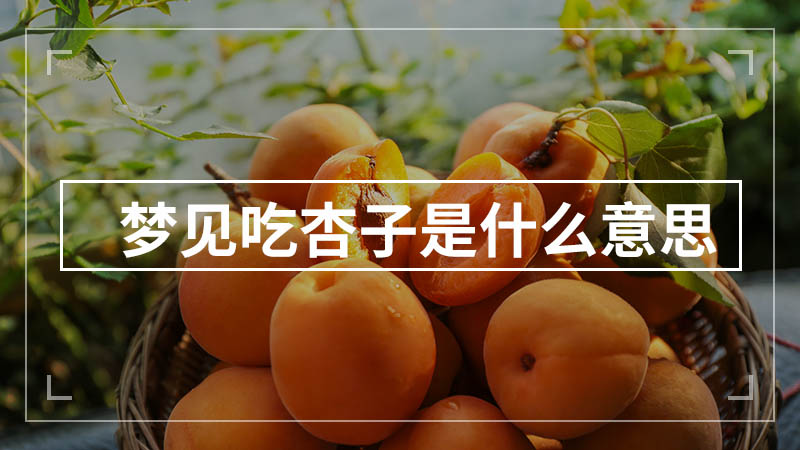 梦见吃杏子是什么意思