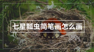 七星瓢虫简笔画怎么画