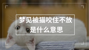 梦见被猫咬住不放是什么意思