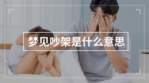 梦见吵架是什么意思