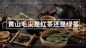 黄山毛尖是红茶还是绿茶